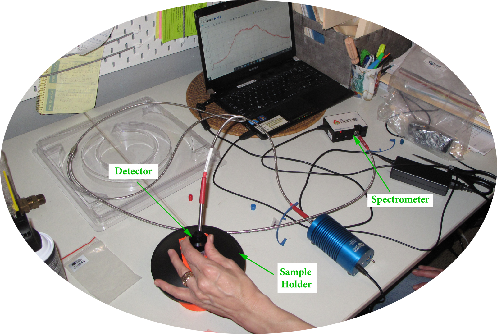 Reflectance Spectra (supplementary)